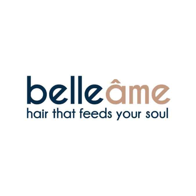 Belle Ame logo for PR page on small business marketing consultant website.